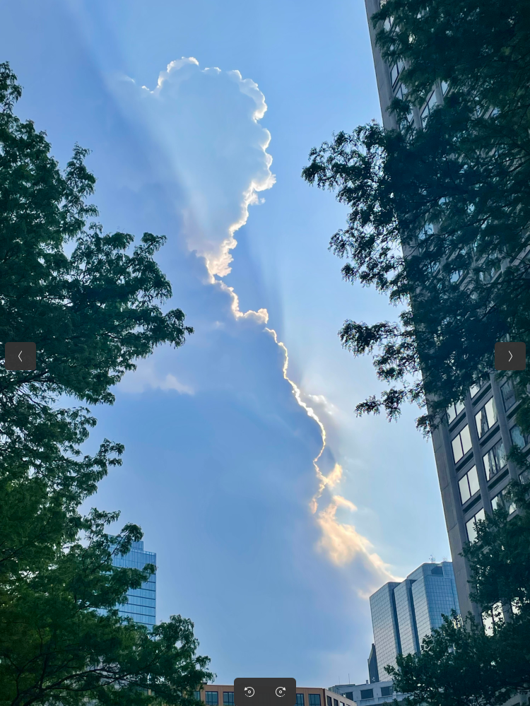 Boston skyline detail